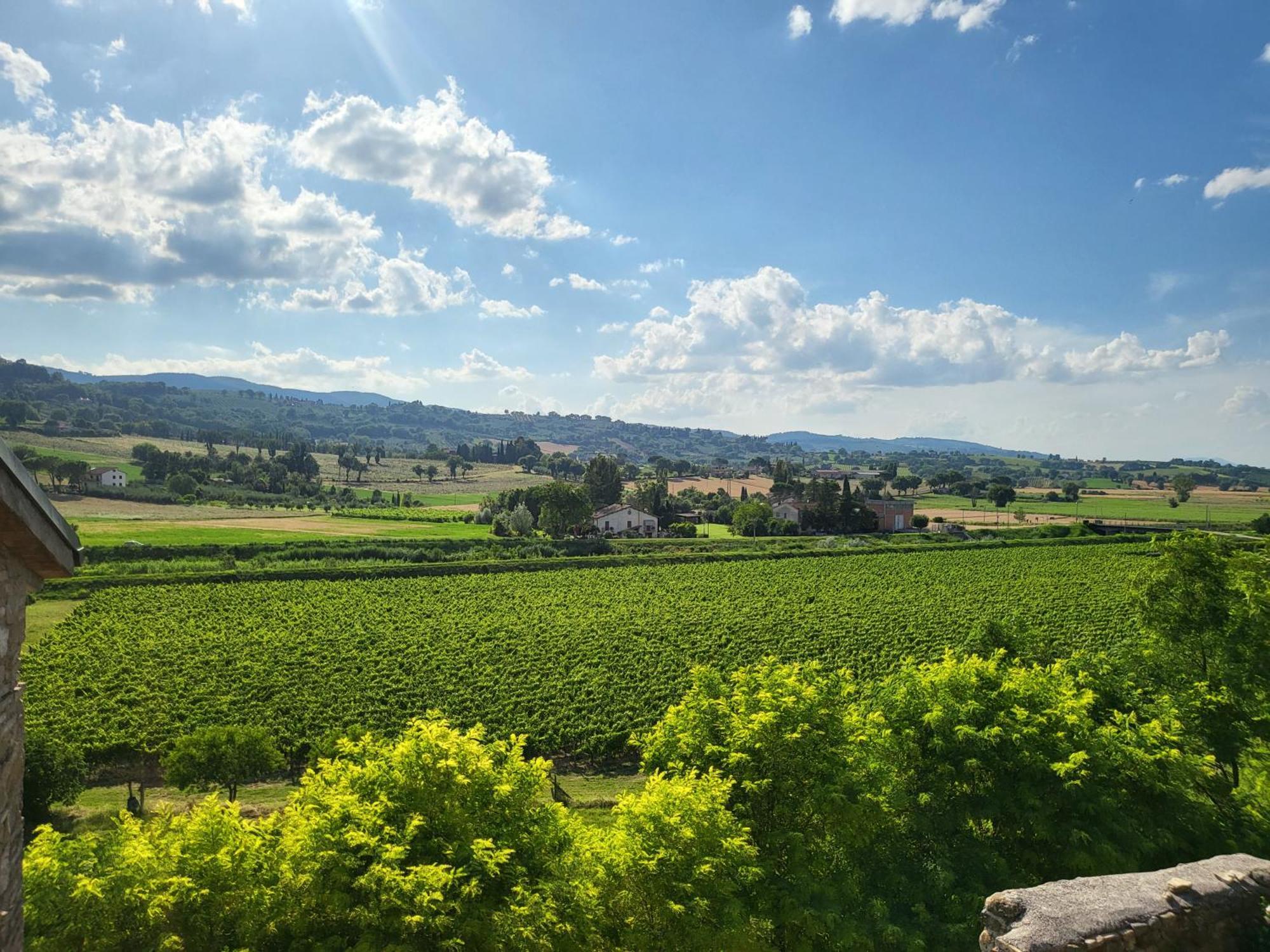 Appartamento Con Camino In Centro Storico Bevagna Esterno foto